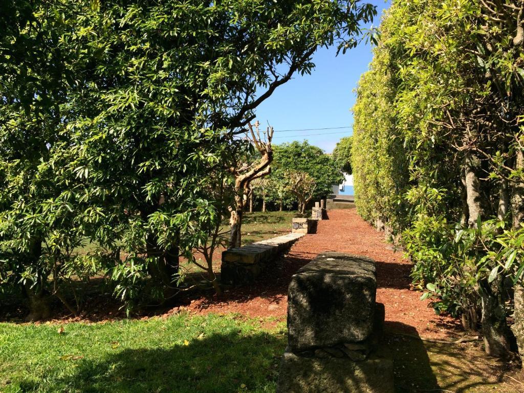 فيلا Quinta De Santa Clara Ponta Delgada المظهر الخارجي الصورة