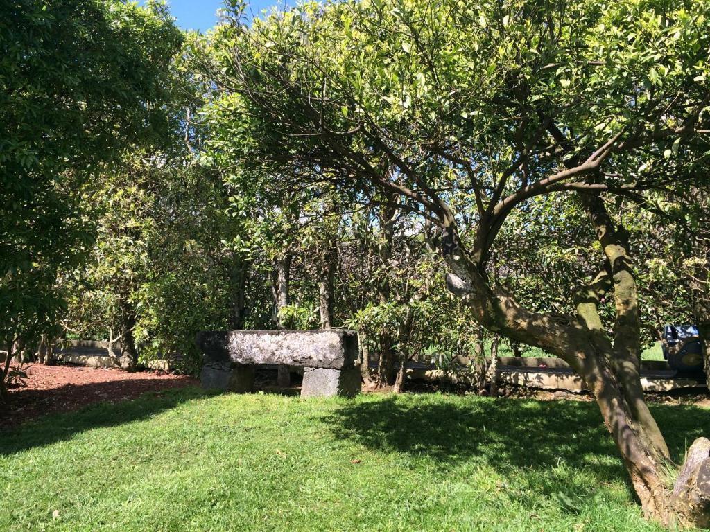 فيلا Quinta De Santa Clara Ponta Delgada المظهر الخارجي الصورة