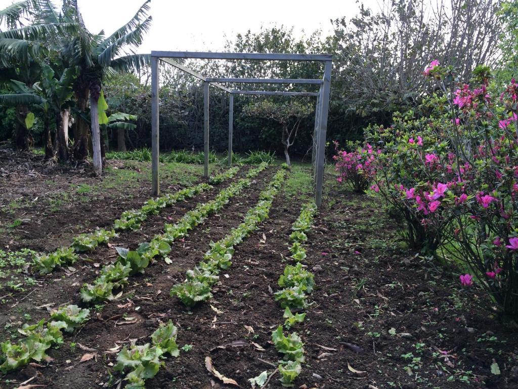 فيلا Quinta De Santa Clara Ponta Delgada المظهر الخارجي الصورة